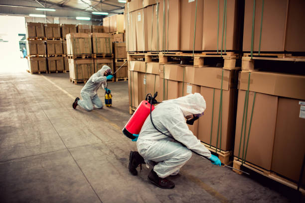 Trusted Fitchburg, MA Pest Control Experts