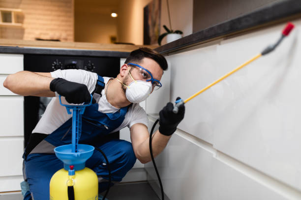 Best Bed Bug Extermination  in Fitchburg, MA
