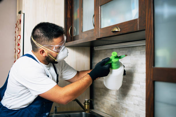 Best Wasp Removal Services  in Fitchburg, MA