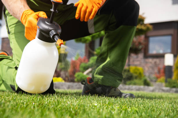 Best Bird Control  in Fitchburg, MA