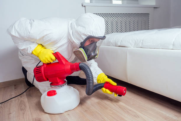 Best Termite Control Services  in Fitchburg, MA