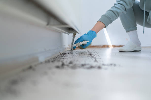Best Exterminator Services  in Fitchburg, MA